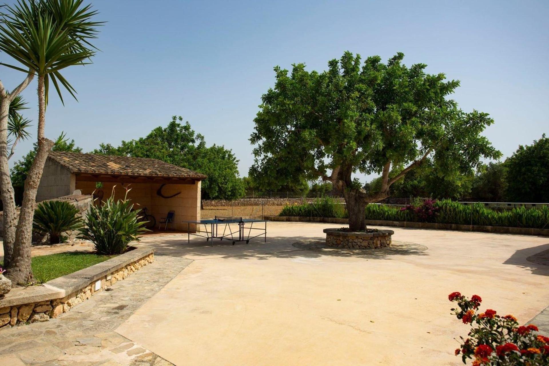 Ferienhaus Gemuetliche Kleine Ferienfinca Mit Pool *